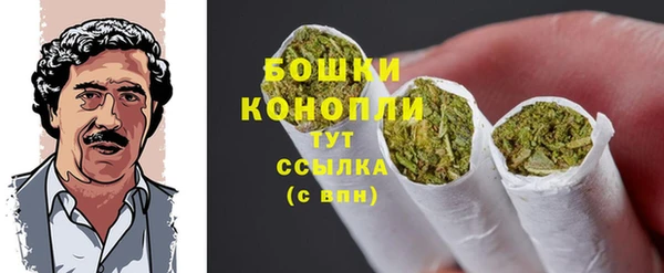 PSILOCYBIN Абдулино
