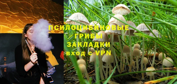 твердый Абаза