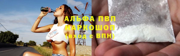 твердый Абаза