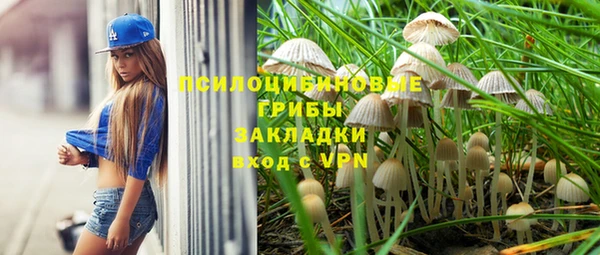 PSILOCYBIN Абдулино