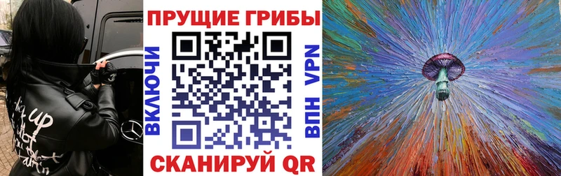 Галлюциногенные грибы Psilocybe  где можно купить   кракен ONION  Вилюйск 